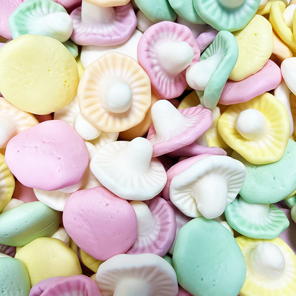 Frisia Champignon - 100g 🌿