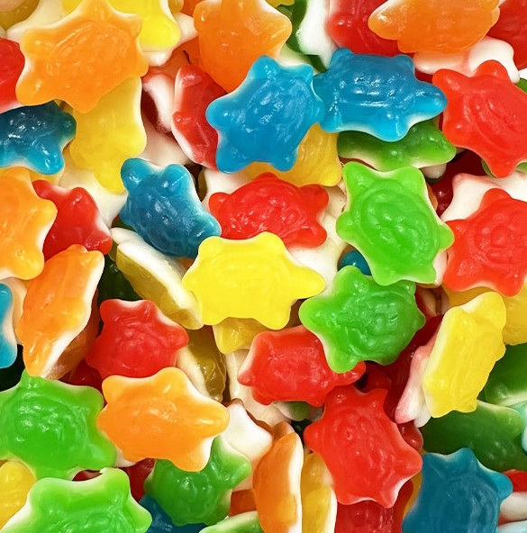 Petit tortue lisses 100g 🚫🌾